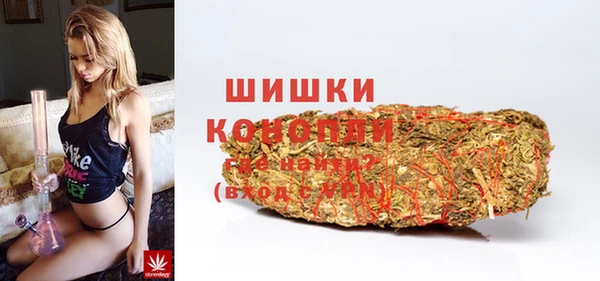 apvp Алексин